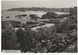 229 - Biarritz - Le Port Des Pêcheurs - Biarritz