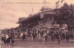 TOP DEAUVILLE PLAGE FLEURIE LE CHAMP DE COURSES LES TRIBUNES - Deauville