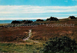 72627633 Insel Sylt Friesenhaeuser In Der Kampener Heide Westerland - Otros & Sin Clasificación