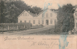 Delmenhorst  Gel. 1901  Hotel Zum Thiergarten - Delmenhorst