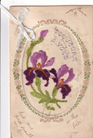 Embroidered Iris  Iris Brodé  Silk - Bordados