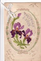 Embroidered Iris  Iris Brodé  Silk - Embroidered