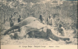 ZAC BELGIAN CONGO  PPS SBEP 52 VIEW 53 UNUSED - Interi Postali