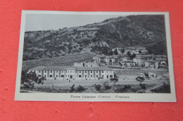 Cosenza Terme Luigiane Guardia Piemontese 1951 Ed. Carrozzino - Cosenza