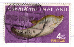 T+ Thailand 1968 Mi 524 Fisch - Thailand