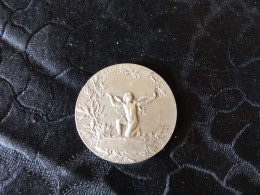 Jolie Médaille En Bronze Argentée, Société D'enseignement Professionnel Du Rhône, Fondée En 1864 - Professionnels / De Société