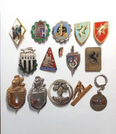 LOT  De  15  Insignes  époque  Guerre  D' ALGÉRIE - Army
