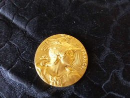 Jolie Médaille En Bronze Doré, Institut Pour La Fidélité Dans Le Travail, Louis Bottée - Firma's