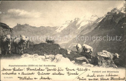 11670477 Kandersteg BE Alpschelenweide Hohtuerli Und Bluemlisalp Kandersteg - Other & Unclassified