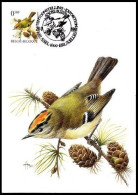 CM/MK° - 2424 - Roitelet Huppé/Goudhaantje/Wintergoldhähnchen/Goldcrest - BSL-BXL - 28-09-1991 - EXPO BUZIN - RRR - 1985-.. Vögel (Buzin)