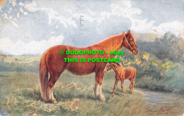 R554867 Horses. J. Salmon. Postcard. 1934 - Mundo