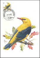 CM/MK° - Loriot / Wielewaal / Pirol / Oriole - BXL/BSL - 31-08-92 - BUZIN - 1985-.. Birds (Buzin)