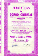 Congo Belge: PLANTATIONS Du CONGO ORIENTAL - Afrique