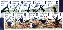 Fauna. Uccelli 1987-1988. - Ascension (Ile De L')
