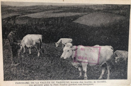 Terrain Des Fouilles De Glozel - Père Fradin Et Son Troupeau De Vaches - Sonstige & Ohne Zuordnung