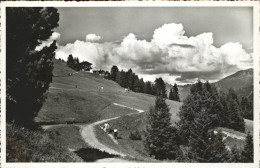 11305148 Davos GR Strela Alp Davos Platz - Sonstige & Ohne Zuordnung