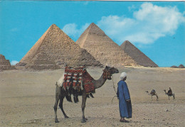 GIZA, GIZEH, PYRAMIDS, CAMELS, EGYPT, POSTCARD - Guiza