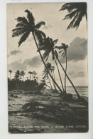 ASIE - SRI LANKA - CEYLON - Tramping Across The Sands - A Seaside Scene - Sri Lanka (Ceylon)