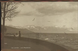 11305081 Lac Leman Genfersee Panorama Lac Leman Les Mouettes Genf - Sonstige & Ohne Zuordnung