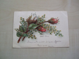Carte Postale Ancienne 1900 ROSES - Blumen