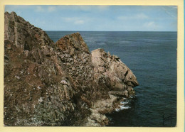 29. LA POINTE DU RAZ – La Tête Du Cochon (voir Scan Recto/verso) - La Pointe Du Raz