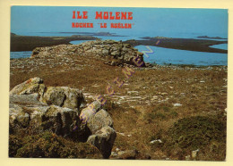 29. ILE MOLENE – Rocher ''Le Roëlen'' (voir Scan Recto/verso) - Andere & Zonder Classificatie