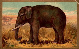 CHROMO GAUFRE N°18 ELEPHANT - Sonstige & Ohne Zuordnung