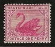 Western Australia     .   SG    .    95  (2 Scans)           .   *       .     Mint-hinged - Ungebraucht