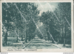 Ae651 Cartolina Amelia La Passeggiata   Provincia Di Terni - Terni