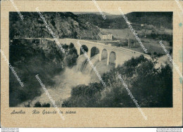Ae745 Cartolina Amelia Rio Grande In Piena Provincia Di Terni - Terni