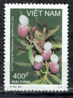 Fruits Sauvages : Podocarpus Neriifolius D. Don - Vietnam