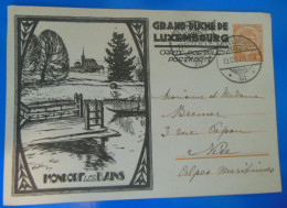 ENTIER POSTAL SUR CARTE  -  1927 - Interi Postali