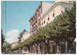 1967 FIUGGI 1  CORSO NUOVA ITALIA   FROSINONE - Frosinone