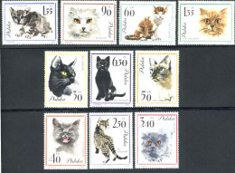 1964-Polonia (MNH=**) S.10v."gatti"cat.Yvert Euro 15 - Altri & Non Classificati