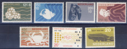 1967-Olanda (MNH=**) 3 Serie 7 Valori Università Tecnologica Di Delft,fauna Mari - Ungebraucht