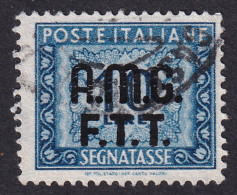 1948-Trieste AMG-FTT (O=used)  Segnatasse L.10 Azzurro - Used