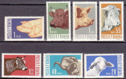 1962-Romania (MNH=**) S.7v."Animali"catalogo Euro 6,5 - Altri & Non Classificati