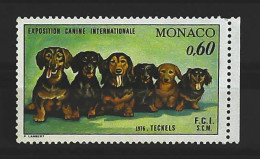1976-Monaco (MNH=**) 1 Valore Cani - Autres & Non Classés