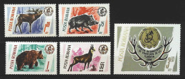 1965-Romania (MNH=**) Serie 5 Valori Cervo Cerbiatto Cinghiale Orso - Other & Unclassified