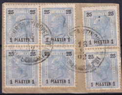 1902-(F=on Piece) AUSTRIA Levante Fr.lli Soprastampati Pi.1/h25 Coppia E Blocco  - Altri & Non Classificati