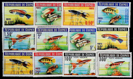 1964-Guinea (MNH=**) Serie 12 Valori Pesci - Guinée (1958-...)