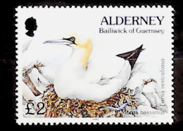 1995-Alderney (MNH=**) Alto Valore £ 2 Gabbiano - Alderney