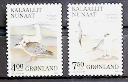1990-Groenlandia (MNH=**) Serie 2 Valori Uccelli - Ongebruikt
