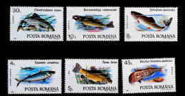 1992-Romania (MNH=**) Serie 6 Valori Pesci - Other & Unclassified