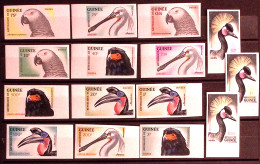 1962-Guinea (MNH=**) Serie 15 Valori Uccelli Non Dentellati - Guinée (1958-...)