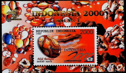 1997-Indonesia (MNH=**) Foglietto 1 Valore Minerali Agata - Indonésie