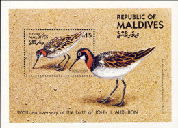 1985-Maldive (MNH=**) Foglietto S.1v."uccelli Bicentenario Della Nascita Dell'Or - Maldivas (1965-...)