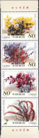 2002-Cina (MNH=**) S.4v.in Striscia "fiori Del Deserto" Con Imprint - Cartas & Documentos