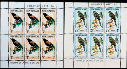 1962-Nuova Zelanda (MNH=**) Due Foglietti S.6v."uccelli" - Otros & Sin Clasificación