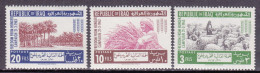 1963-Iraq (MNH=**) S.3v."Campagna Mondiale Contro La Fame" - Iraq